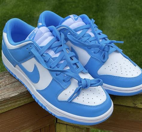 blue Nike dunks men